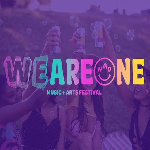 We Are One Music and Arts Festival: Lil Wayne, Grimes, Duck Sauce & Poppy - Saturday